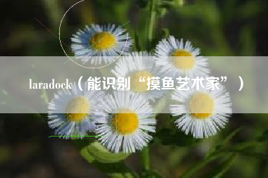 laradock（能识别“摸鱼艺术家”）