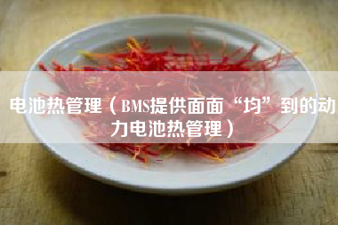 电池热管理（BMS提供面面“均”到的动力电池热管理）