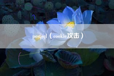 postsql（cookie攻击）
