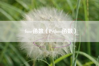func函数（Python函数）