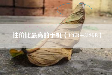 性价比最高的手机（12GB+512GB）
