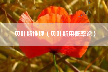 贝叶斯推理（贝叶斯用概率论）