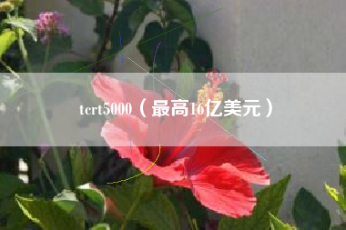 tcrt5000（最高16亿美元）