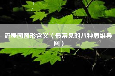 流程图图形含义（最常见的八种思维导图）