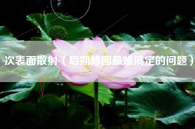 次表面散射(后期修图最难搞定的问题)
