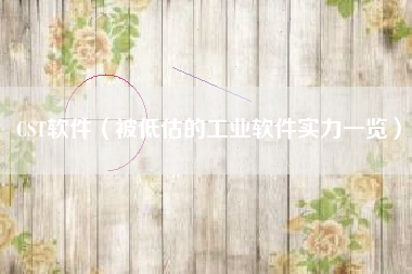 CST软件(被低估的工业软件实力一览)