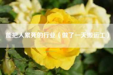 能把人累死的行业（做了一天搬运工）