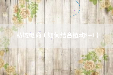 私域电商（如何结合链动2+1）
