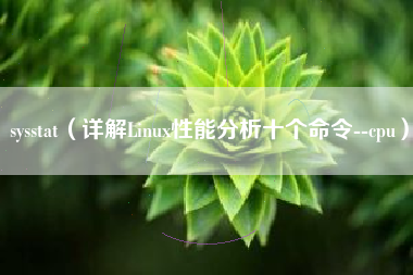 sysstat（详解Linux性能分析十个命令--cpu）