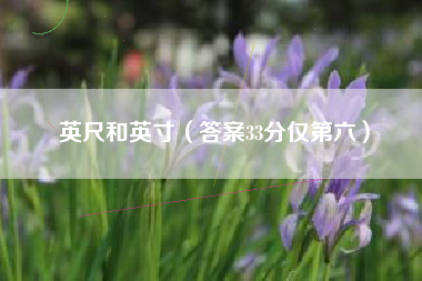 英尺和英寸（答案33分仅第六）