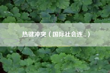 热键冲突(国际社会连...)