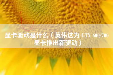 显卡驱动是什么（英伟达为 GTX 600/700 显卡推出新驱动）