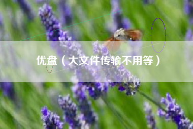 优盘(大文件传输不用等)