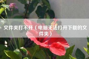 文件夹打不开（电脑无法打开下载的文件夹）