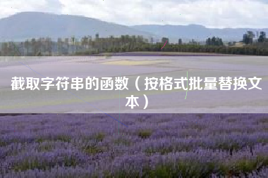 截取字符串的函数（按格式批量替换文本）