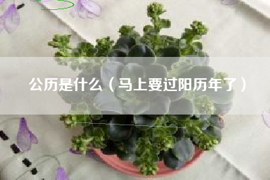 详细阅读:公历是什么(马上要过阳历年了) 公历是什么(马上要过阳历年了)