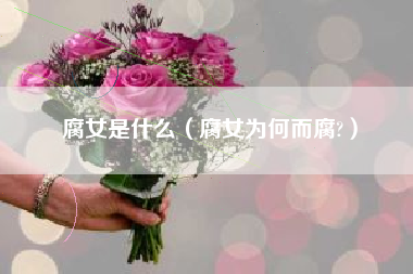 腐女是什么（腐女为何而腐?）