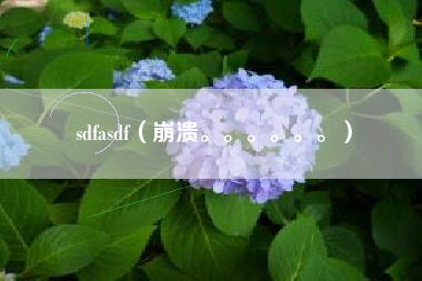 sdfasdf(崩溃。。。。。。)