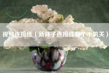 详细阅读:视频连接线(新袜子连接线有个小机关) 视频连接线(新袜子连接线有个小机关)