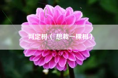 判定树( 想栽一棵树)