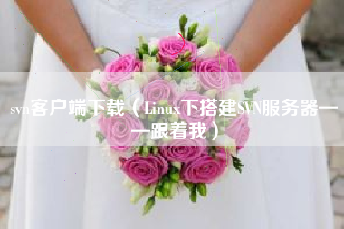 svn客户端下载（Linux下搭建SVN服务器——跟着我）