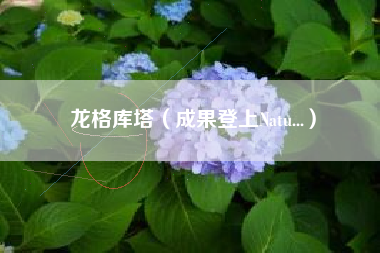 龙格库塔(成果登上Natu...)