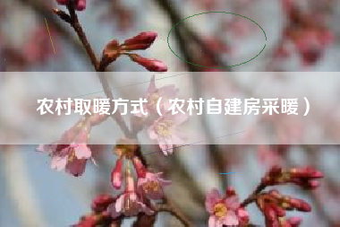 农村取暖方式(农村自建房采暖)