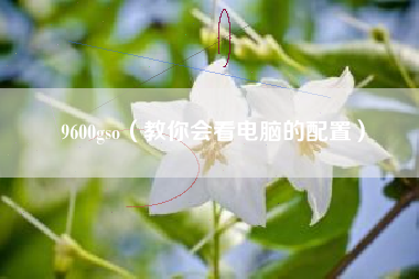 9600gso（教你会看电脑的配置）