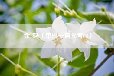 余3码（单挑一码参考08）