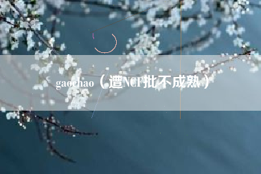 gaochao（遭NCF批不成熟）