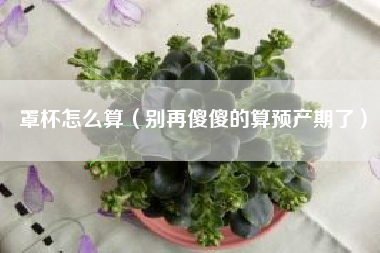 罩杯怎么算（别再傻傻的算预产期了）