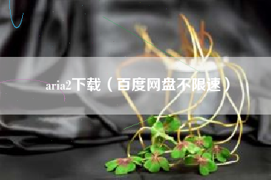 aria2下载（百度网盘不限速）