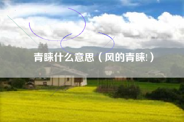 青睐什么意思(风的青睐!)