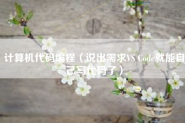计算机代码编程（说出需求VS Code就能自己写代码了）