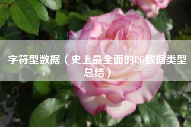 字符型数据（史上最全面的PG数据类型总结）