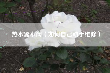 详细阅读:热水器水阀(如何自己动手维修) 热水器水阀(如何自己动手维修)