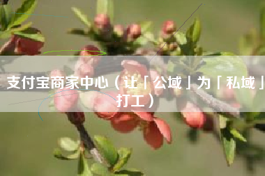支付宝商家中心（让「公域」为「私域」打工）