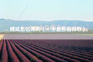 魏延怎么死的(一半是咎由自取)
