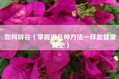 如何辟谷（掌握这几种方法一样能健康减肥）