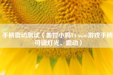 手柄震动测试(盖世小鸡T4 mini游戏手柄:可调灯光、震动)