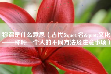 称谓是什么意思(古代"名"文化——称呼一个人的不同方法及注意事项)