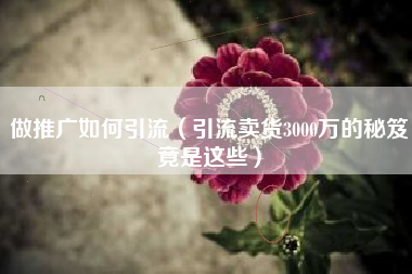 做推广如何引流（引流卖货3000万的秘笈竟是这些）