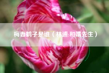 梅妻鹤子是谁(林逋:和靖先生)