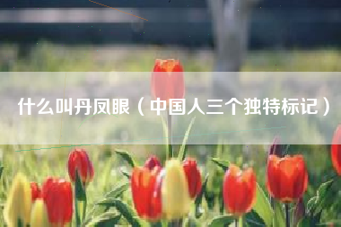 什么叫丹凤眼(中国人三个独特标记)