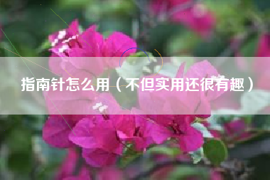 指南针怎么用（不但实用还很有趣）