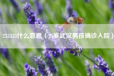 233333什么意思(25岁武汉男孩确诊入院)