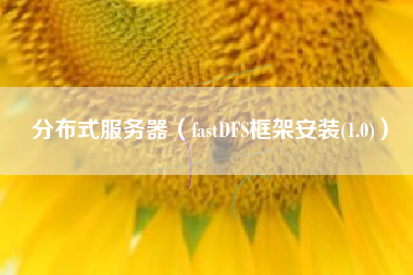 分布式服务器（fastDFS框架安装(1.0)）