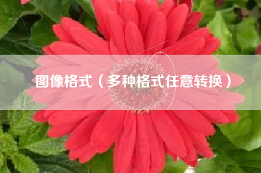 图像格式（多种格式任意转换）