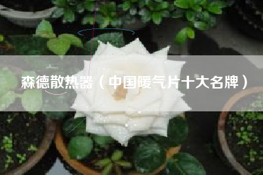 森德散热器(中国暖气片十大名牌)