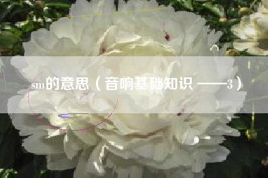 sm的意思(音响基础知识 ——3)